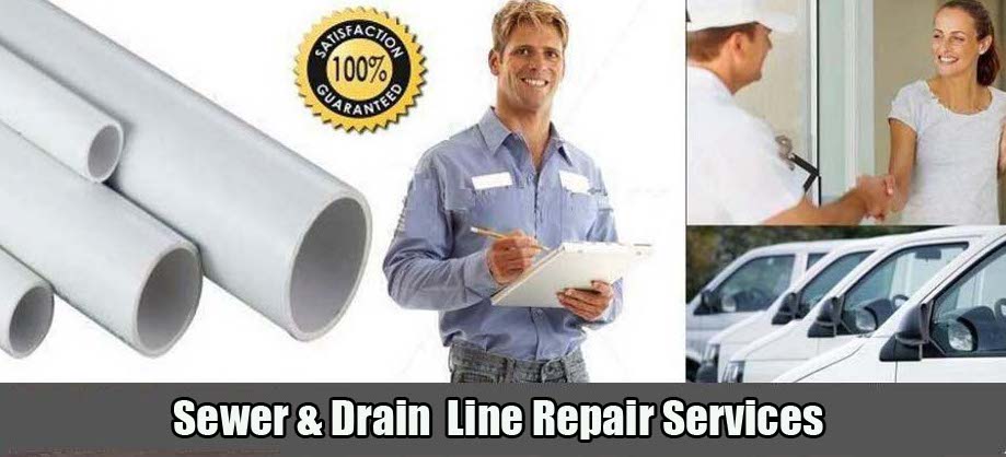 Cole Plumbing, Inc. Sewer Line Repair